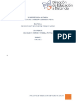 ENSAYO PDF.pdf