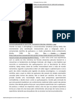 A Serpente Cósmica e o DNA.pdf