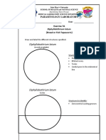 Exercise 7A-Diphyllobothrium Latum