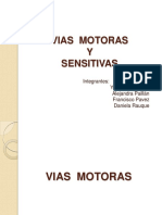 viassensitivasymotoras1-120507224226-phpapp02.pdf