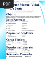 Curriculum Víctor Manuel Vidal de Jesús