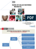 PROGRAMA SALUD MATERNO NEONATAL