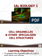 2 Cell Organelles and Other Specialized Cell Structures
