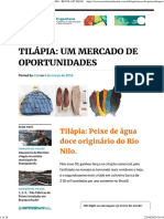 Um Mercado de Oportunidades - Recolast Blog PDF