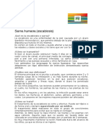 Sarna PDF