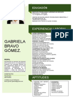 CV Gabriela Bravo Gómez PDF