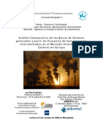 Memoria_Carbono.pdf