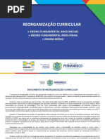 REORGANIZAÇÃO CURRICULAR - ARQUIVO COMPLETO.pdf