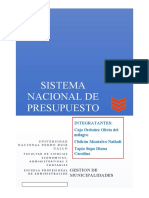 Sistema Nacional de Presupuesto Publico