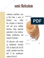 Endoplasmic Reticulum