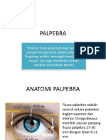 PALPEBRA