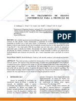 QOBEC 2004 Biodesfosfatacao Paper