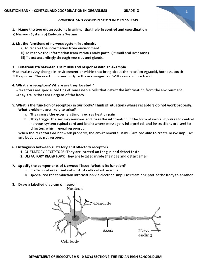 Control and Coordination in Organisms | PDF | Nervous System | Stimulus ...