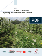 Perennial Flower Strips - A Tool For Improving Pest Control in Fruit Orchards