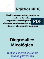 16 Práctico Diapositivas - Guía - Diagnóstico Micológico