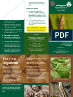 Potato Tuber Moth Brochure