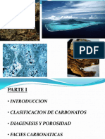 01 Carbofabian36 PDF