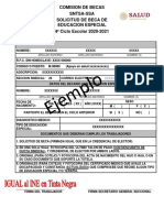 Ejemplo Especial PDF