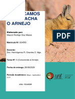 Conociendo El Arnejo1.pdf