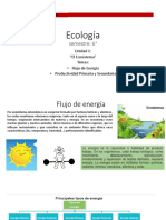 Ecología Flujo de Energía
