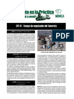 CIP41es.pdf