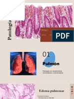 Sistema Respiratorio Patologias