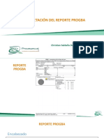 Interpretación del Reporte ProgBAv2