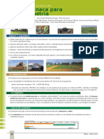 Cultivo de Espinaca PDF