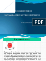 1 NATURALEZA DE LOS RECURSOS 1.pdf
