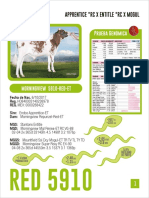 bajaCatalogoPDF 2019 PDF