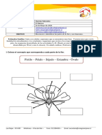 3°básico - Cs. Naturales - Partes de La FLOR (Guía)