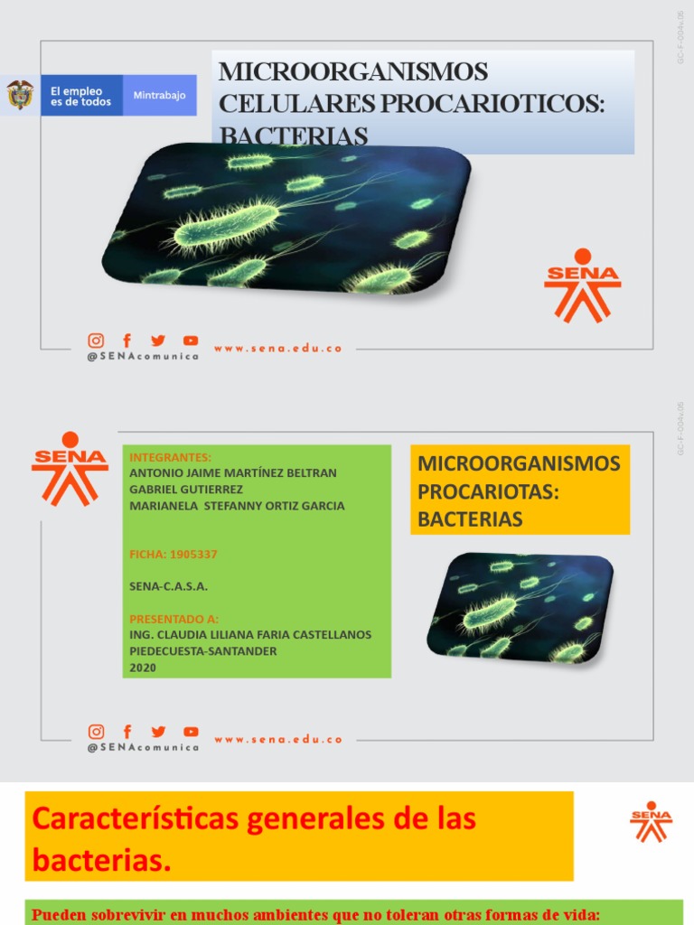 Ajmb Diapositivas de Las Celulas Procariotas | PDF | Las bacterias ...