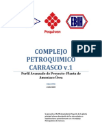 Perfil Carrasco v[1].1.pdf