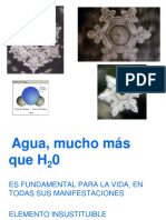 Presentacion Introduccion Al Agua PDF