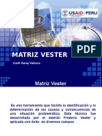 Matriz Vester Gestion de Proyectos PDF