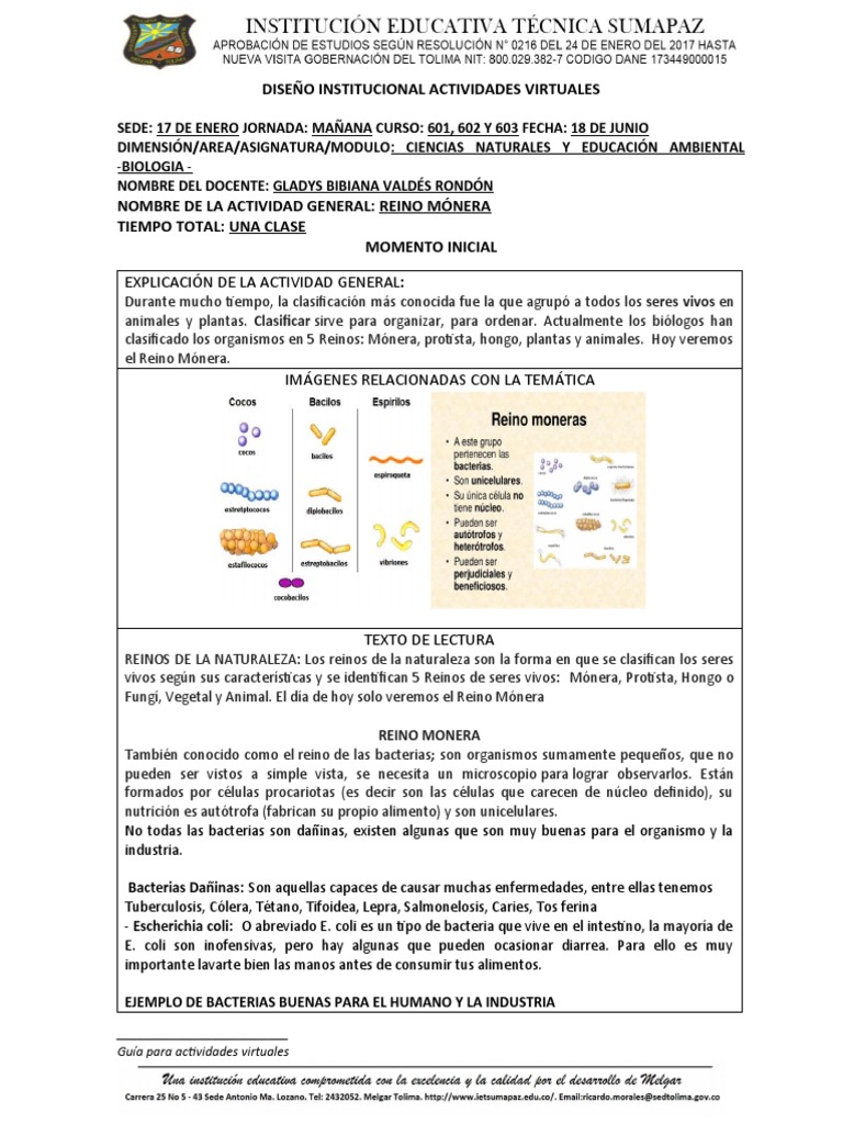 Guia 4 Reino Monera | PDF | Las bacterias | Plantas