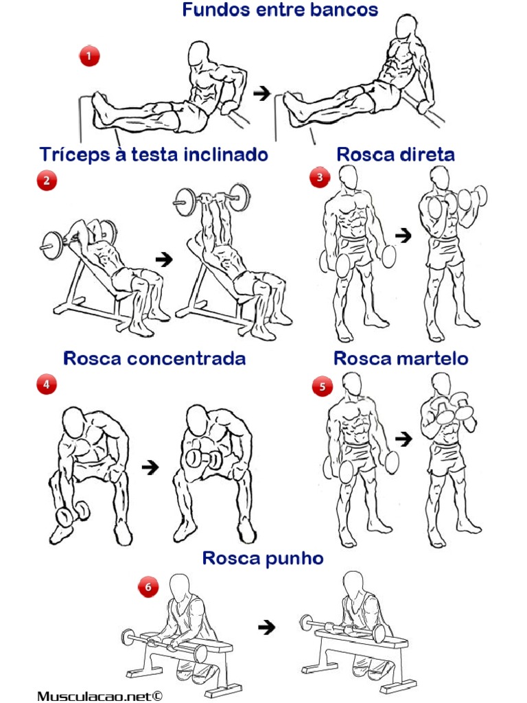 Treino de Braços Bíceps e Tríceps PDF