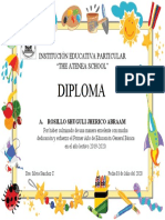 Diploma Definitivo 27