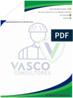 vasco consultores