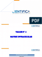 Cpe - Taller Semana 4 - Matriz Intra Extra PDF