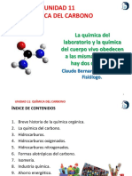 01quimicadelcarbono-161209102143.pdf