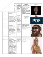 Evolucion de Ser Humano