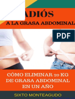 Adiós A La Grasa Abdominal Como