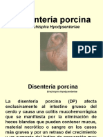 5 DISENTERIA PORCINA.ppt