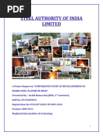 Download Sushil Rais Project by Sushil Rai SN46954406 doc pdf