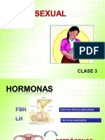 Ciclo Hormonal