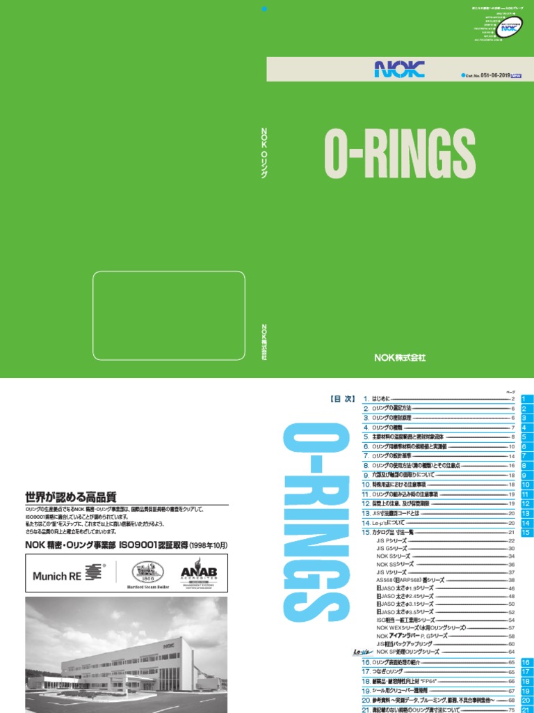 O Rings 19 Pdf