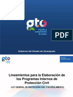 Lineamientos - Elaboracion - Programa - Interno - PC