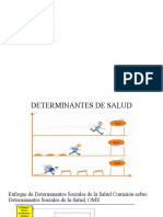 Determinantes de La Salud (Presentacion)