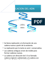 Replicación del ADN